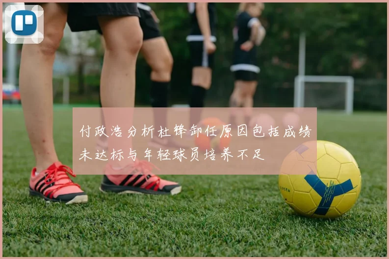 付政浩分析杜锋卸任原因包括成绩未达标与年轻球员培养不足