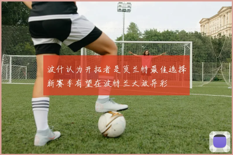 波什认为开拓者是莫兰特最佳选择新赛季有望在波特兰大放异彩