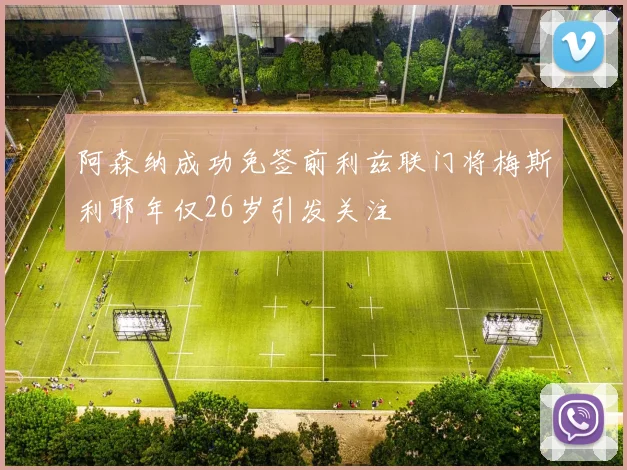 阿森纳成功免签前利兹联门将梅斯利耶年仅26岁引发关注